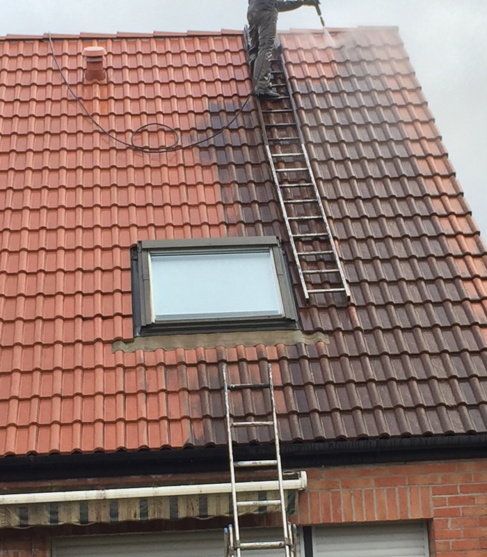 Démoussage toiture avant après