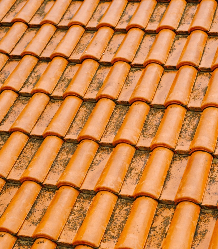 Toiture en tuiles canal présentant un revêtement nécessitant entretien