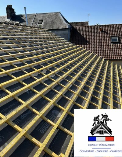 Traitement professionnel fongicide, préventif et curatif, avec la solution antimousse, hydrofuge par pulvérisation